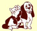 Silverstream Kennels Logo